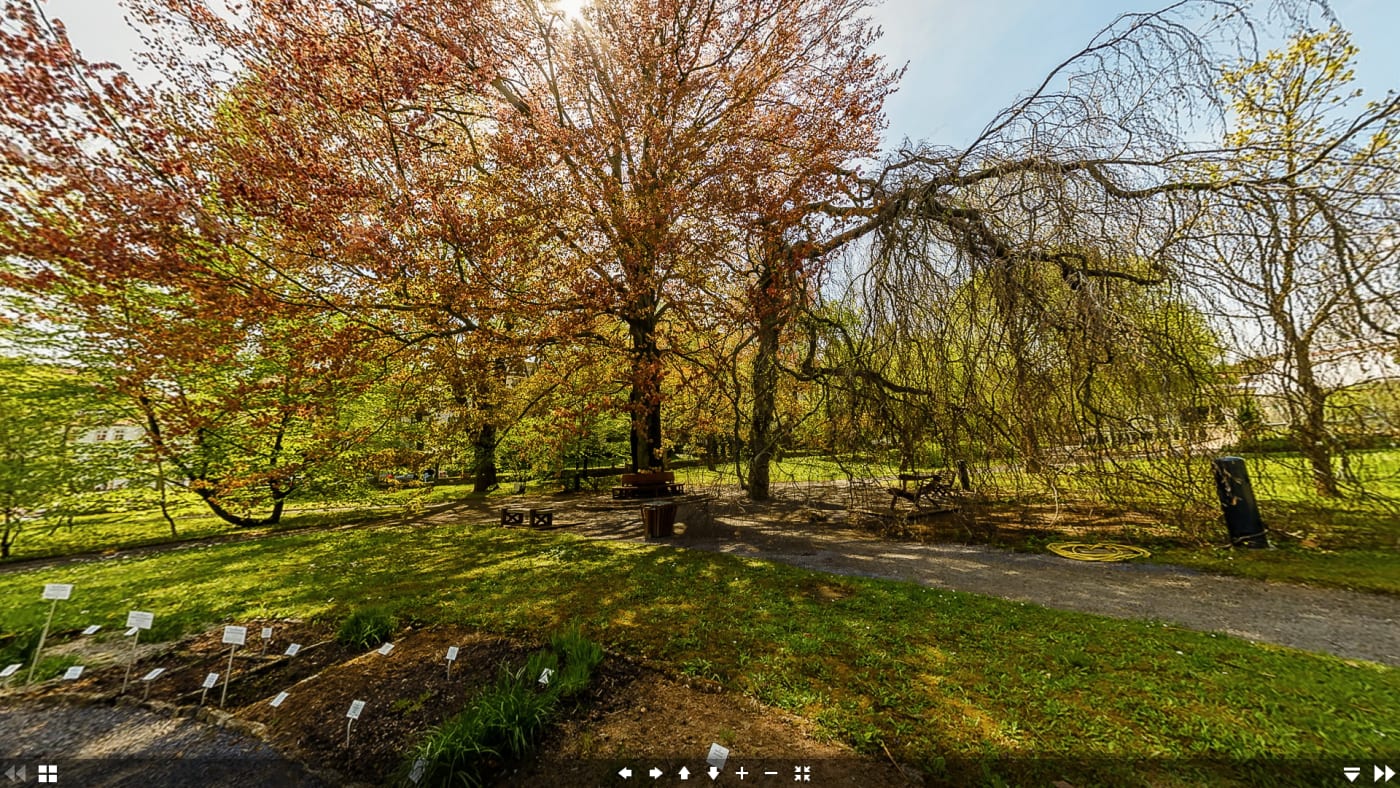 Botanischer Garten - Rundgang starten