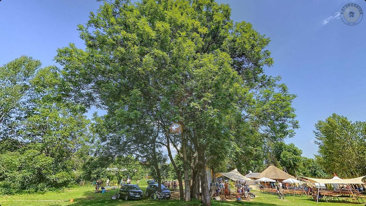 Strandschleicher - Rundgang starten