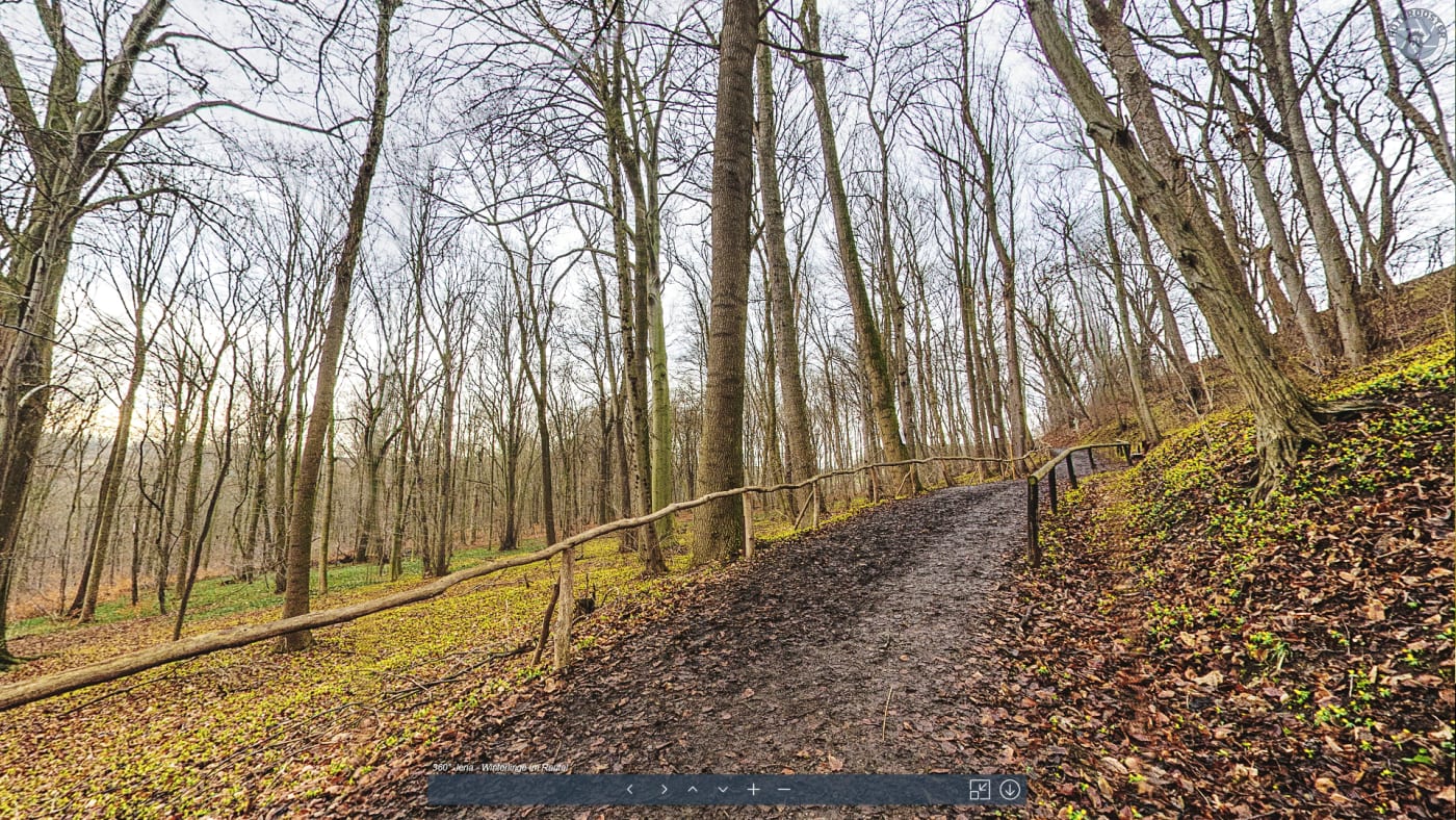 Winterlinge - Rundgang starten