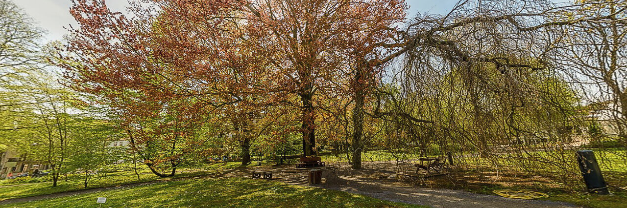 Rundgang durch den Botanischen Garten Jena